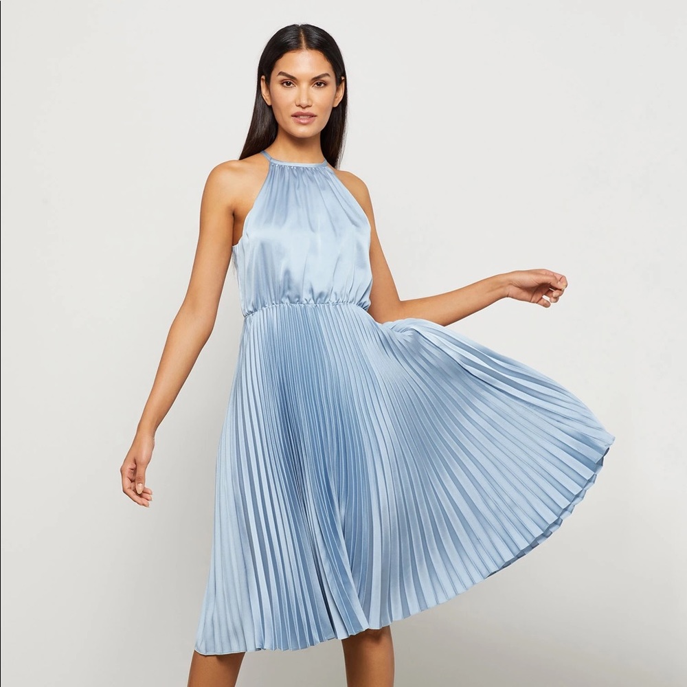 BCBG Frost Plisse Dress